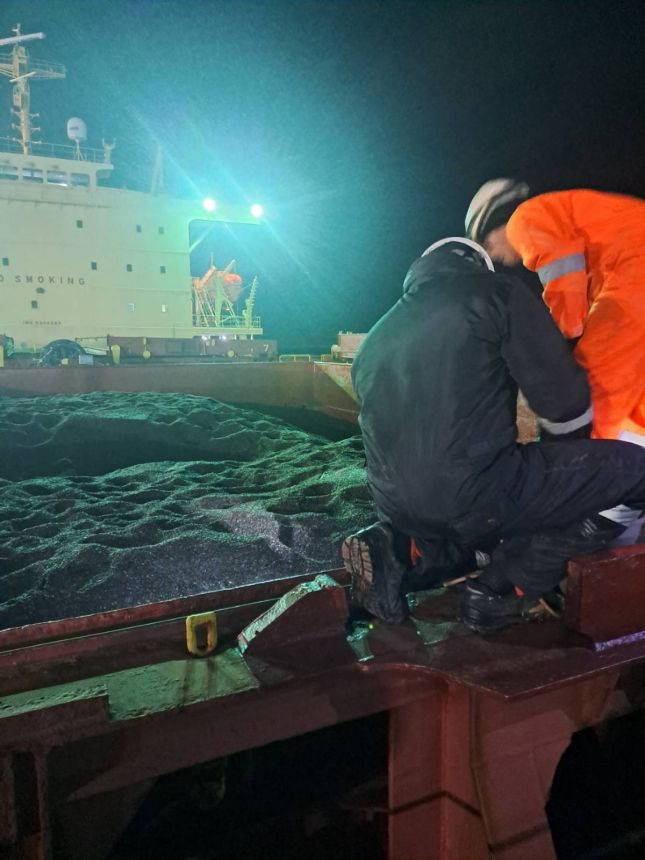 В аржентински слънчоглед, доставен с кораб до Варна, бяха открити пестициди.