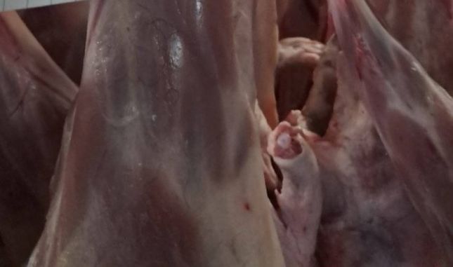 Неозаглавена публикация 416